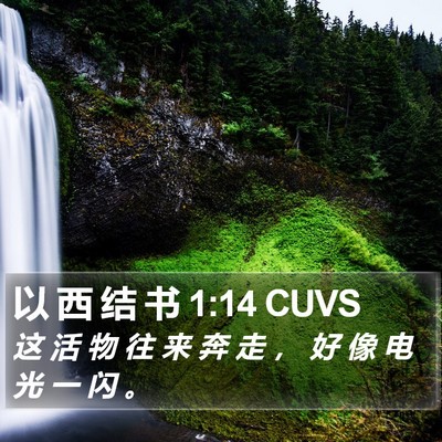 以 西 结 书 1:14 CUVS Bible Verse Image