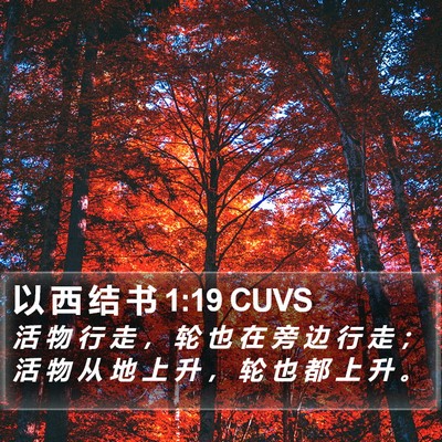 以 西 结 书 1:19 CUVS Bible Verse Image