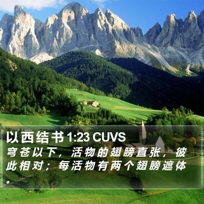 以 西 结 书 1:23 CUVS Bible Verse Image