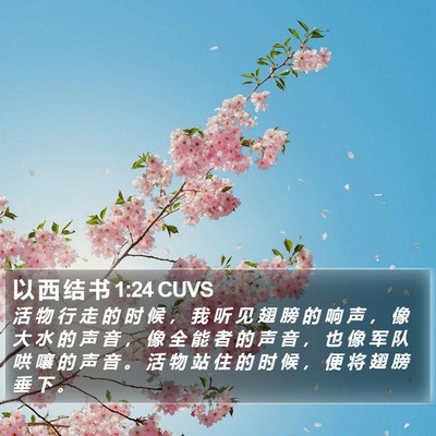 以 西 结 书 1:24 CUVS Bible Verse Image