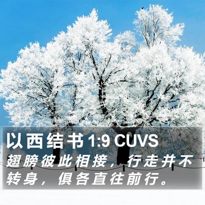 以 西 结 书 1:9 CUVS Bible Verse Image