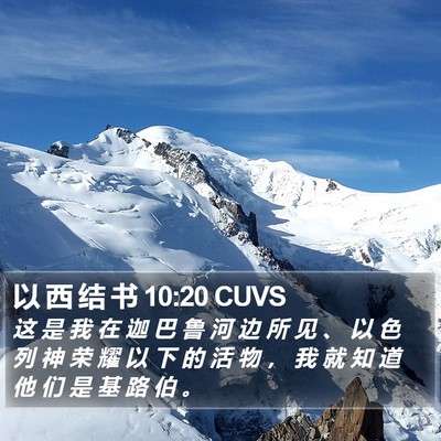 以 西 结 书 10:20 CUVS Bible Verse Image