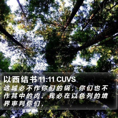 以 西 结 书 11:11 CUVS Bible Verse Image