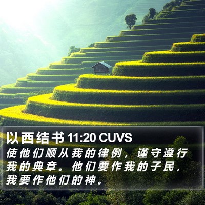 以 西 结 书 11:20 CUVS Bible Verse Image