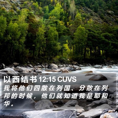 以 西 结 书 12:15 CUVS Bible Verse Image