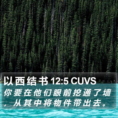 以 西 结 书 12:5 CUVS Bible Verse Image