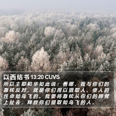 以 西 结 书 13:20 CUVS Bible Verse Image