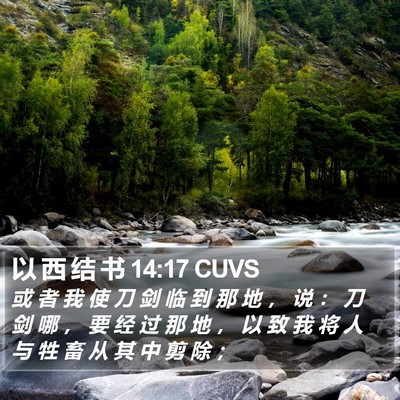 以 西 结 书 14:17 CUVS Bible Verse Image