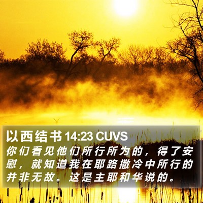 以 西 结 书 14:23 CUVS Bible Verse Image