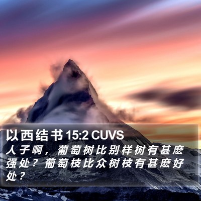 以 西 结 书 15:2 CUVS Bible Verse Image