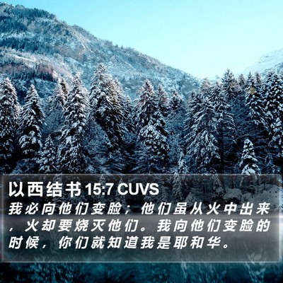 以 西 结 书 15:7 CUVS Bible Verse Image