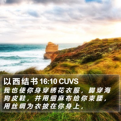 以 西 结 书 16:10 CUVS Bible Verse Image