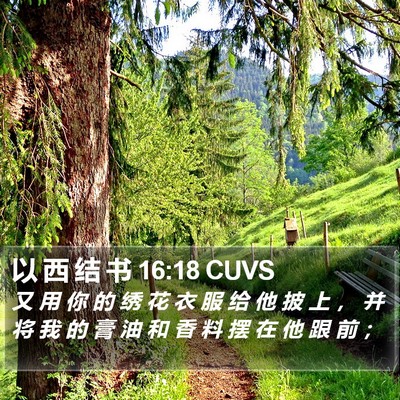 以 西 结 书 16:18 CUVS Bible Verse Image