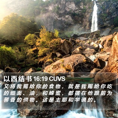以 西 结 书 16:19 CUVS Bible Verse Image