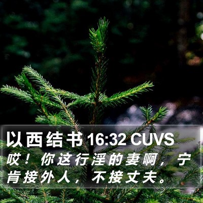 以 西 结 书 16:32 CUVS Bible Verse Image