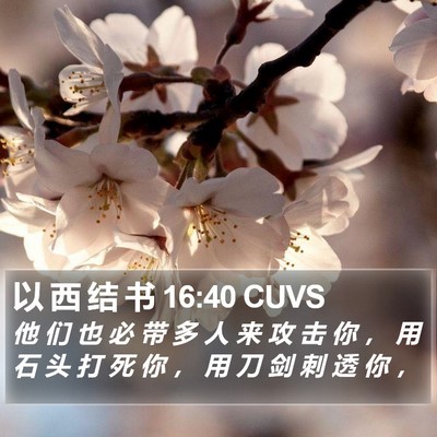 以 西 结 书 16:40 CUVS Bible Verse Image