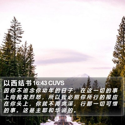 以 西 结 书 16:43 CUVS Bible Verse Image