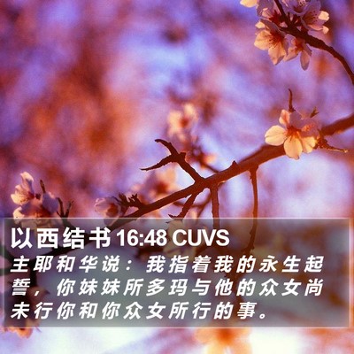 以 西 结 书 16:48 CUVS Bible Verse Image