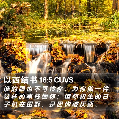 以 西 结 书 16:5 CUVS Bible Verse Image