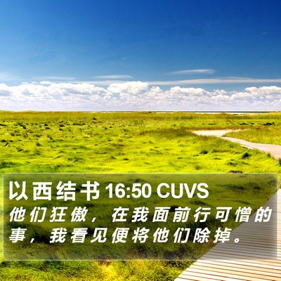以 西 结 书 16:50 CUVS Bible Verse Image
