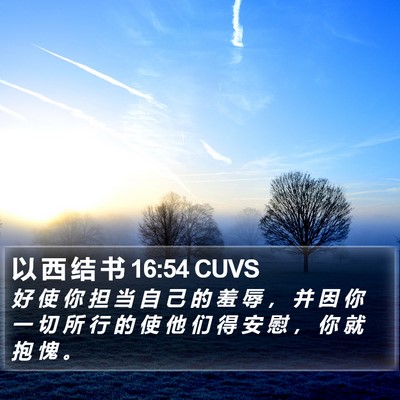 以 西 结 书 16:54 CUVS Bible Verse Image