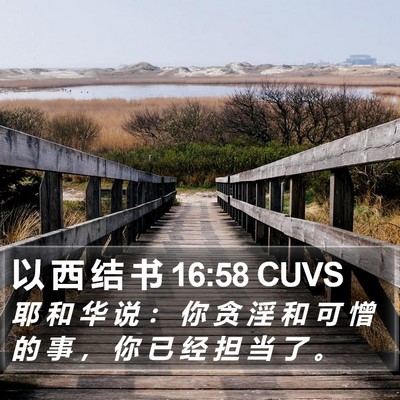 以 西 结 书 16:58 CUVS Bible Verse Image