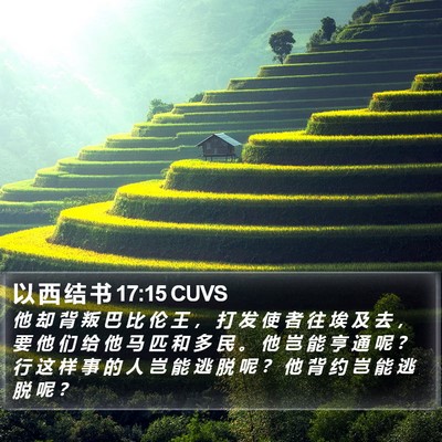 以 西 结 书 17:15 CUVS Bible Verse Image