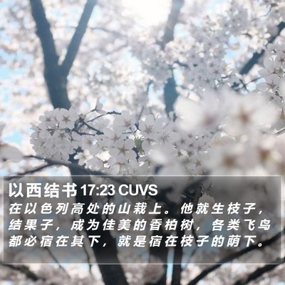 以 西 结 书 17:23 CUVS Bible Verse Image