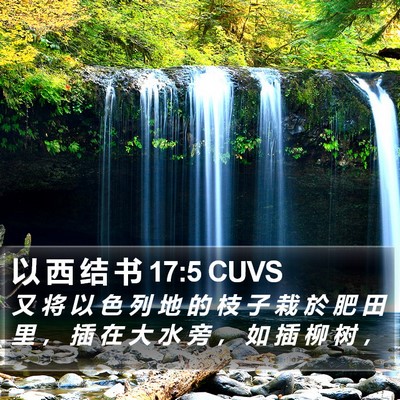 以 西 结 书 17:5 CUVS Bible Verse Image