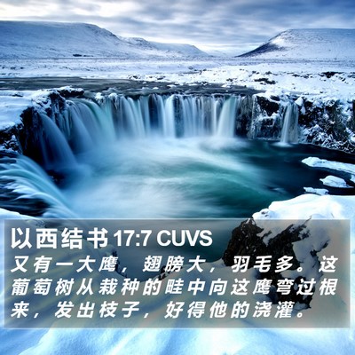 以 西 结 书 17:7 CUVS Bible Verse Image