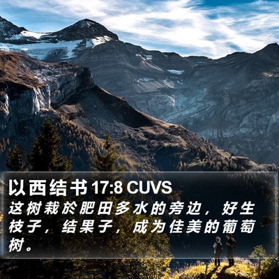 以 西 结 书 17:8 CUVS Bible Verse Image