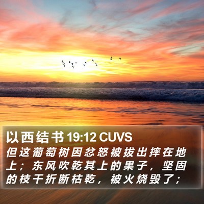 以 西 结 书 19:12 CUVS Bible Verse Image