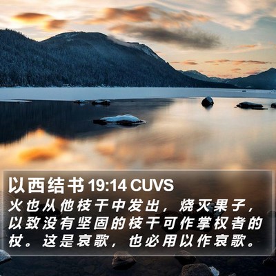 以 西 结 书 19:14 CUVS Bible Verse Image