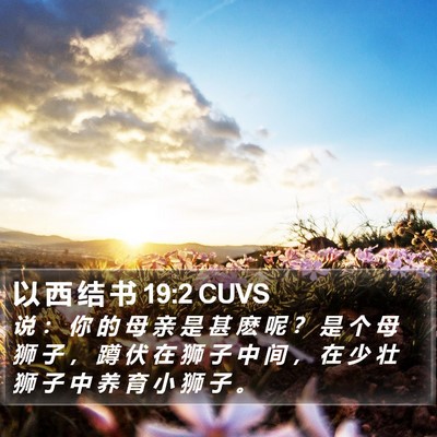 以 西 结 书 19:2 CUVS Bible Verse Image