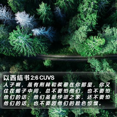 以 西 结 书 2:6 CUVS Bible Verse Image
