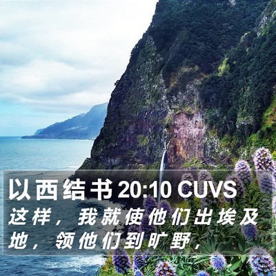 以 西 结 书 20:10 CUVS Bible Verse Image