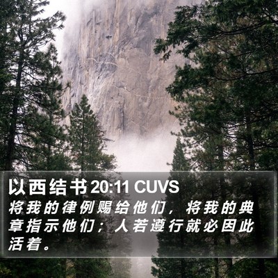以 西 结 书 20:11 CUVS Bible Verse Image