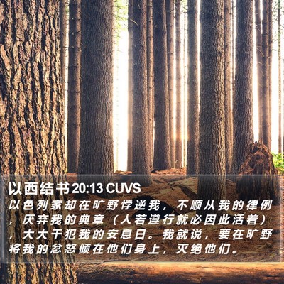 以 西 结 书 20:13 CUVS Bible Verse Image