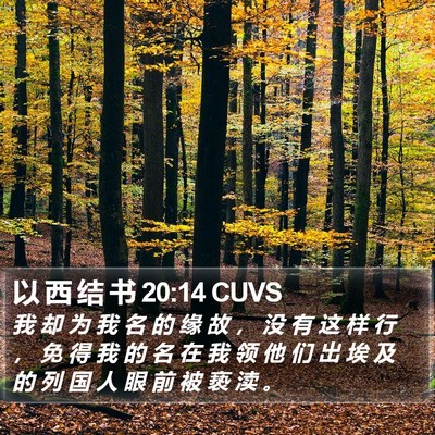 以 西 结 书 20:14 CUVS Bible Verse Image