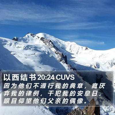 以 西 结 书 20:24 CUVS Bible Verse Image