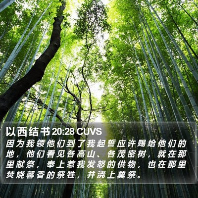 以 西 结 书 20:28 CUVS Bible Verse Image