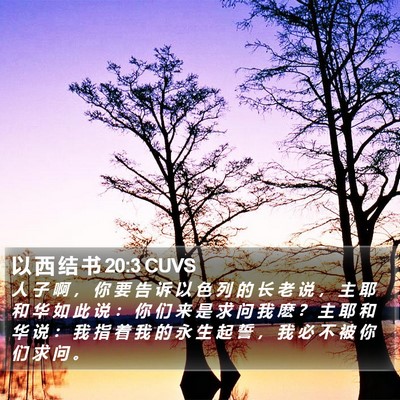 以 西 结 书 20:3 CUVS Bible Verse Image