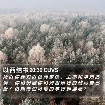 以 西 结 书 20:30 CUVS Bible Verse Image