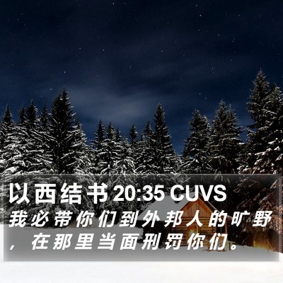 以 西 结 书 20:35 CUVS Bible Verse Image