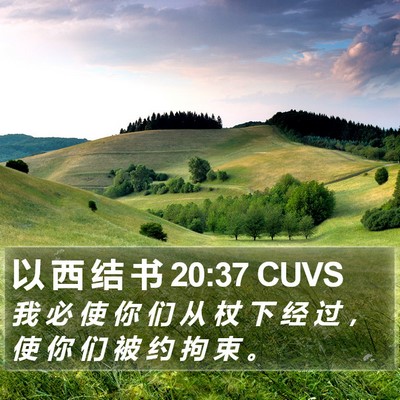 以 西 结 书 20:37 CUVS Bible Verse Image