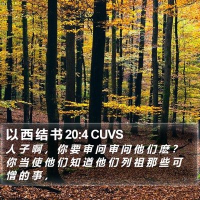 以 西 结 书 20:4 CUVS Bible Verse Image