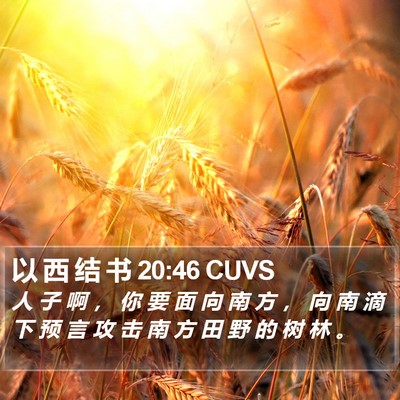 以 西 结 书 20:46 CUVS Bible Verse Image