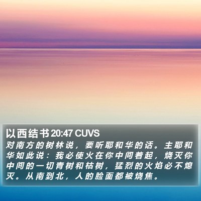 以 西 结 书 20:47 CUVS Bible Verse Image