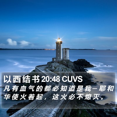 以 西 结 书 20:48 CUVS Bible Verse Image