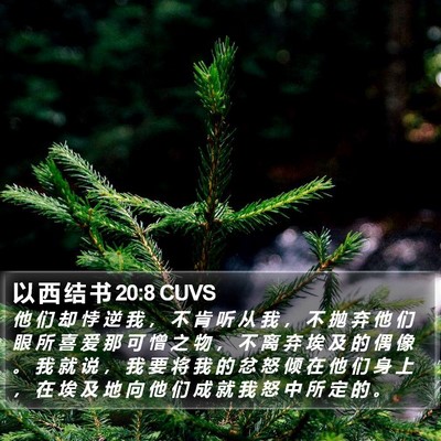 以 西 结 书 20:8 CUVS Bible Verse Image